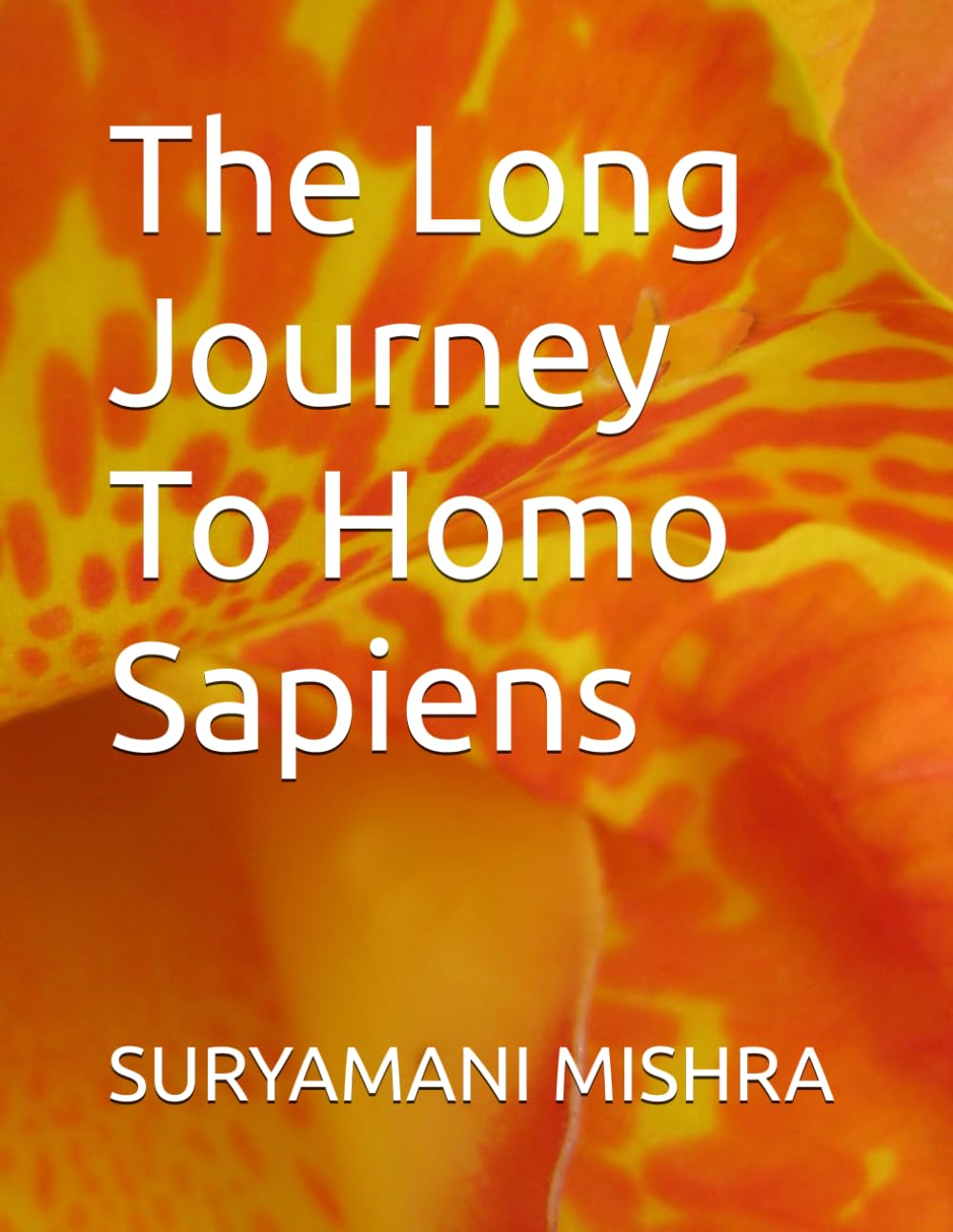 The Long Journey To Homo Sapiens