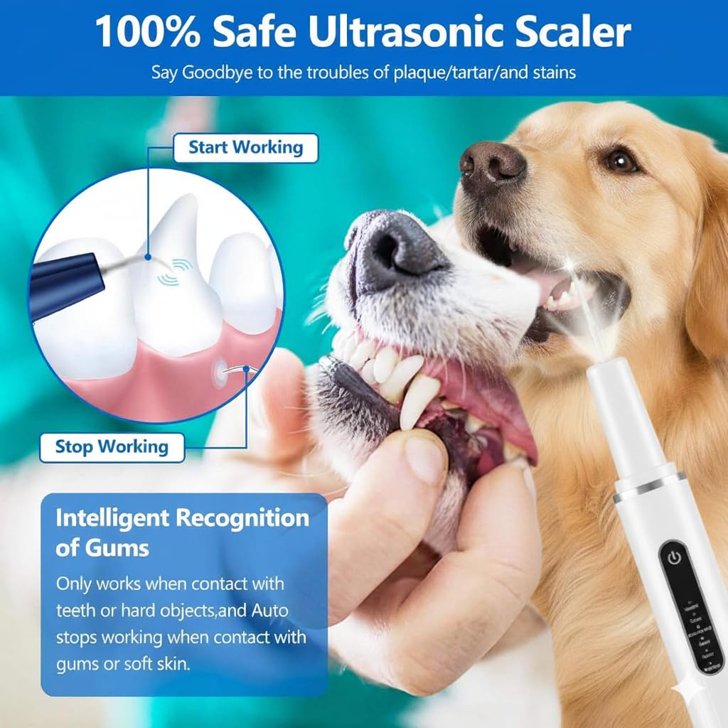 KT Dog Teeth Cleaning Kit for Small & Large Dogs – Complete Pet Dental Care Set with Enzymatic Toothpaste, Dual-Head & Finger Toothbrush – Plaque & Tartar Remover, Fresh Breath Oral Hygiene Solution - image 6