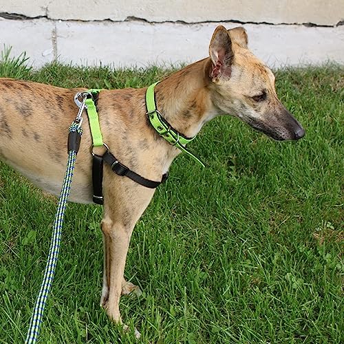 Dingo Dog Harness with Plastic Buckle Easy Wearing, Handmade of Material Green, Black Contrast 94614, 60 - Image 3