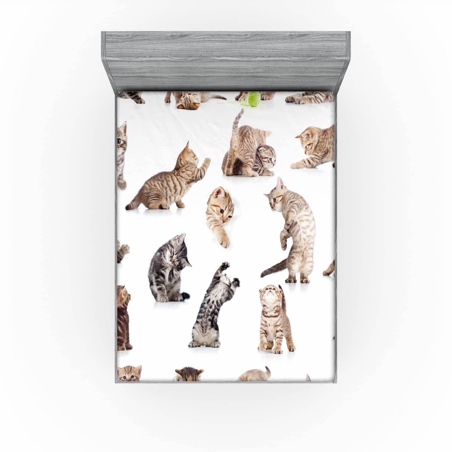 Ambesonne Cat 2 Pack Fitted Sheet, Funny Playful Cats Image, Bed Cover All-Round Elastic Deep Pockets 2 Pieces, Package Contains 2 Queen Size Fitted Sheets, Beige White