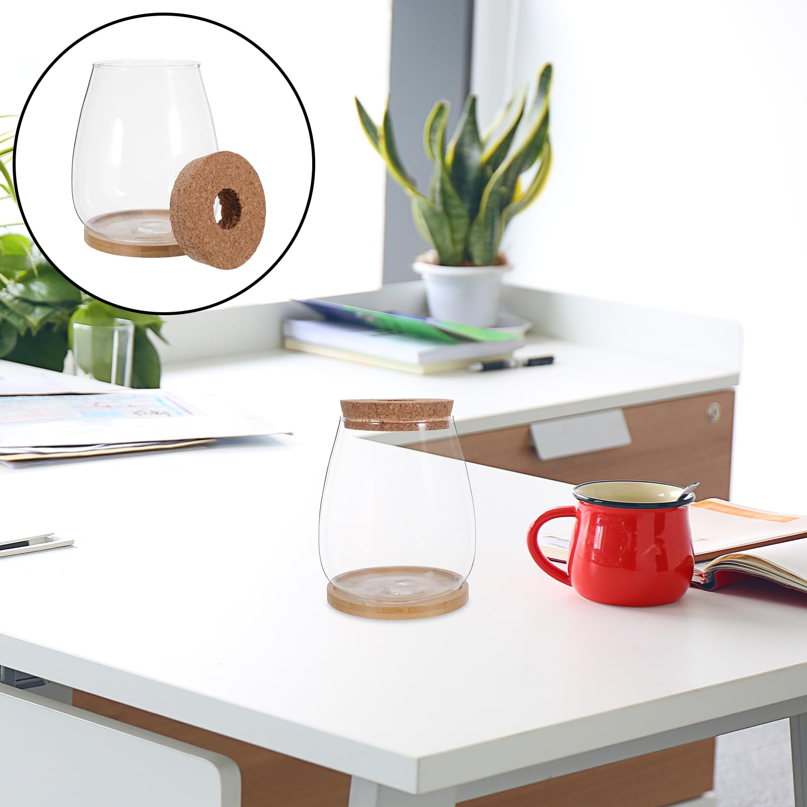 Toyvian Lot de 2 Sets de Vases de Propagation en Verre Hydroponique Grand Format avec Bouchon en Liège et Support en Bambou, Stations de Culture Solide pour Plantes D’intérieur Bureau