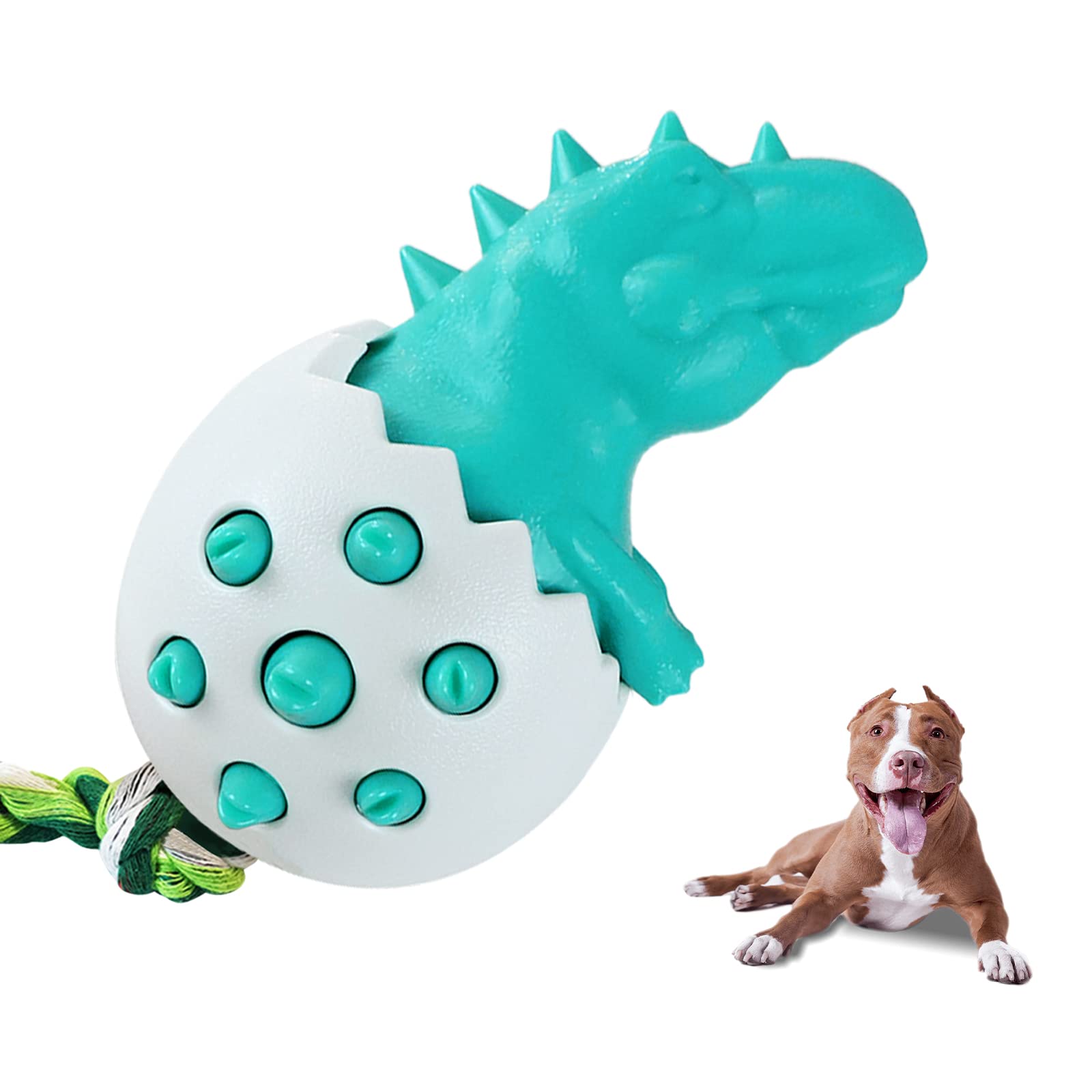 MultiValue Dog Chew Toys