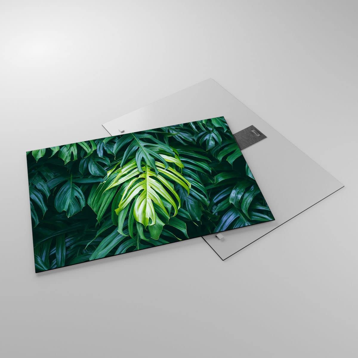 Tableau Sur Verre ARTTOR 70x50cm - Abstraction Nature - Décoration Murale Moderne
