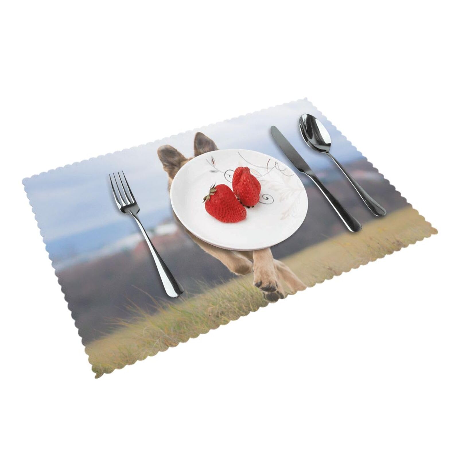 Running german shepherd dog Printed Placemats Set of 4 PCS Washable Placemat for Kitchen Table Heat-resistant Table Mats 45x30 CM