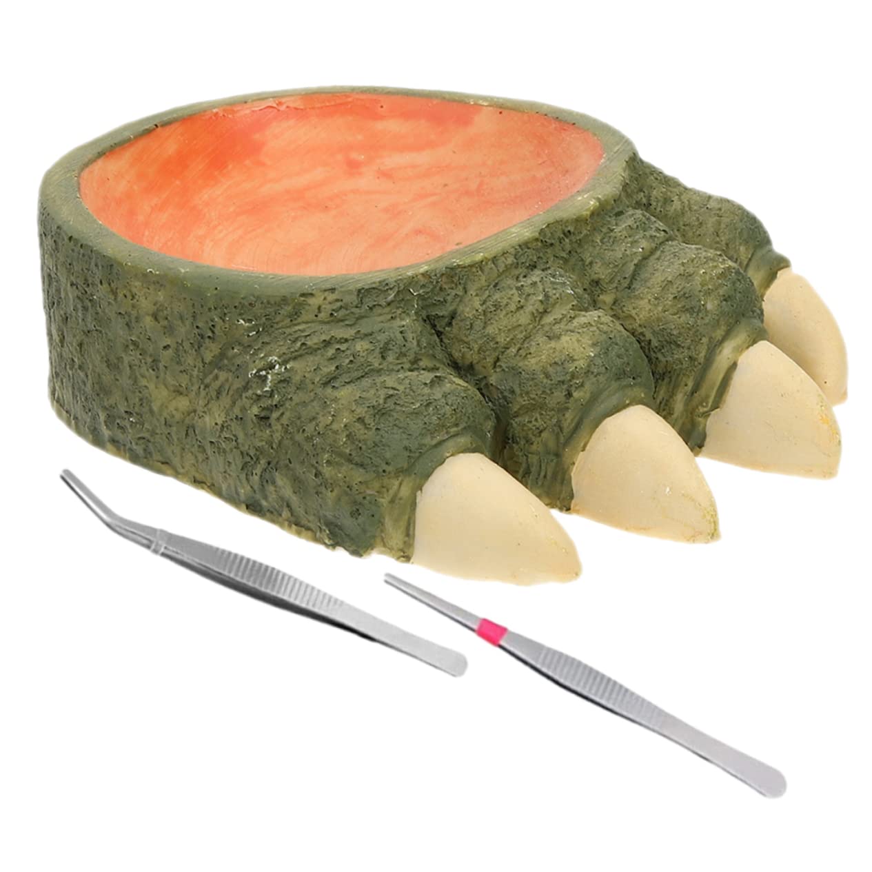 MERRYHAPY 1 Set Decorative Resin Water Dish for Reptiles Snake Supplies Natural Feeding Bowl with Tweezers for Lizards Chameleons and Hermit Crabs Easy to Clean Smooth Surface