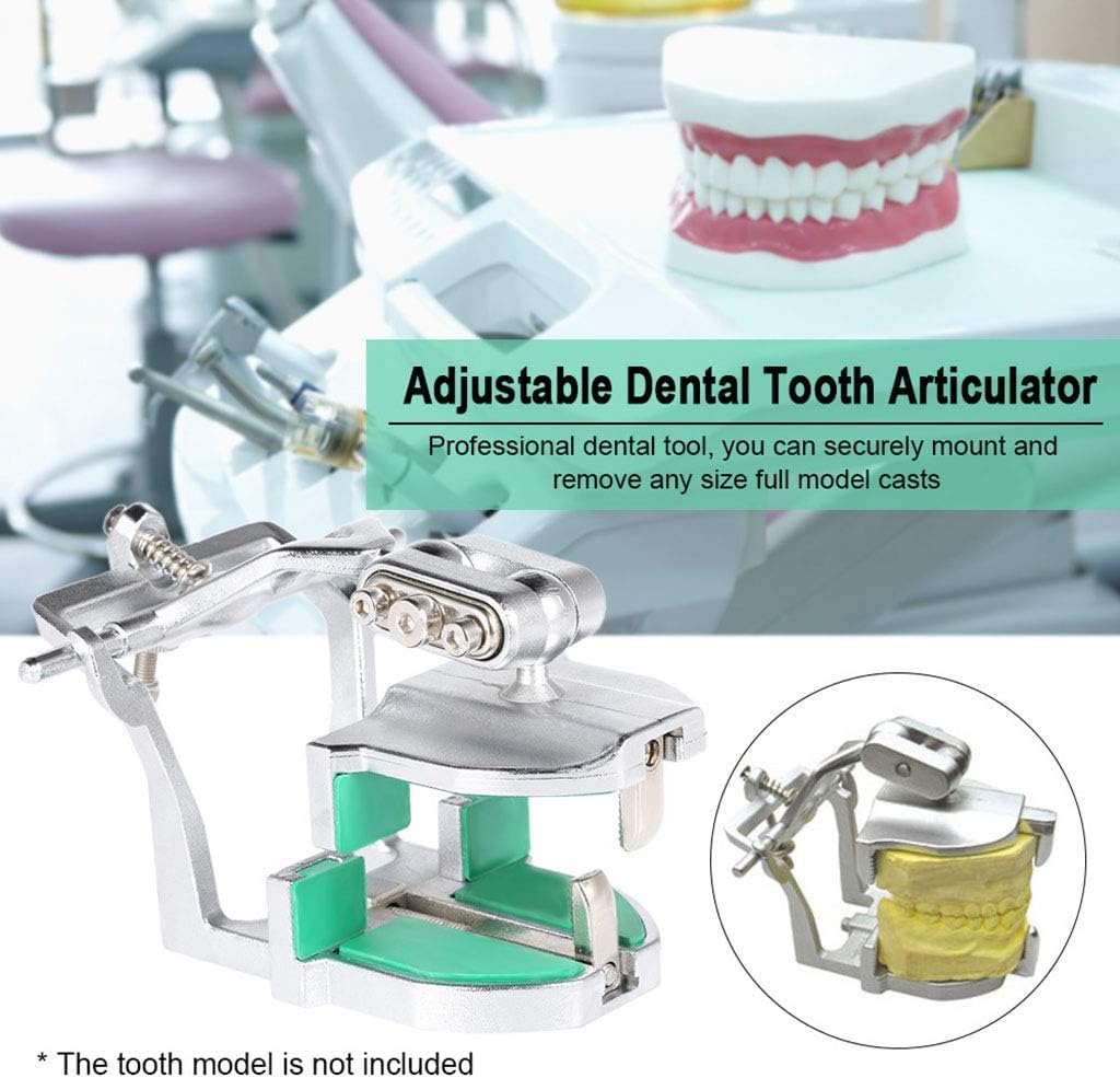Articulador Dental Universal Mecánico Triple Ajustable Tipo 2 Mandíbulas z Śrubokrętem Narzędzie Dentystyczne
