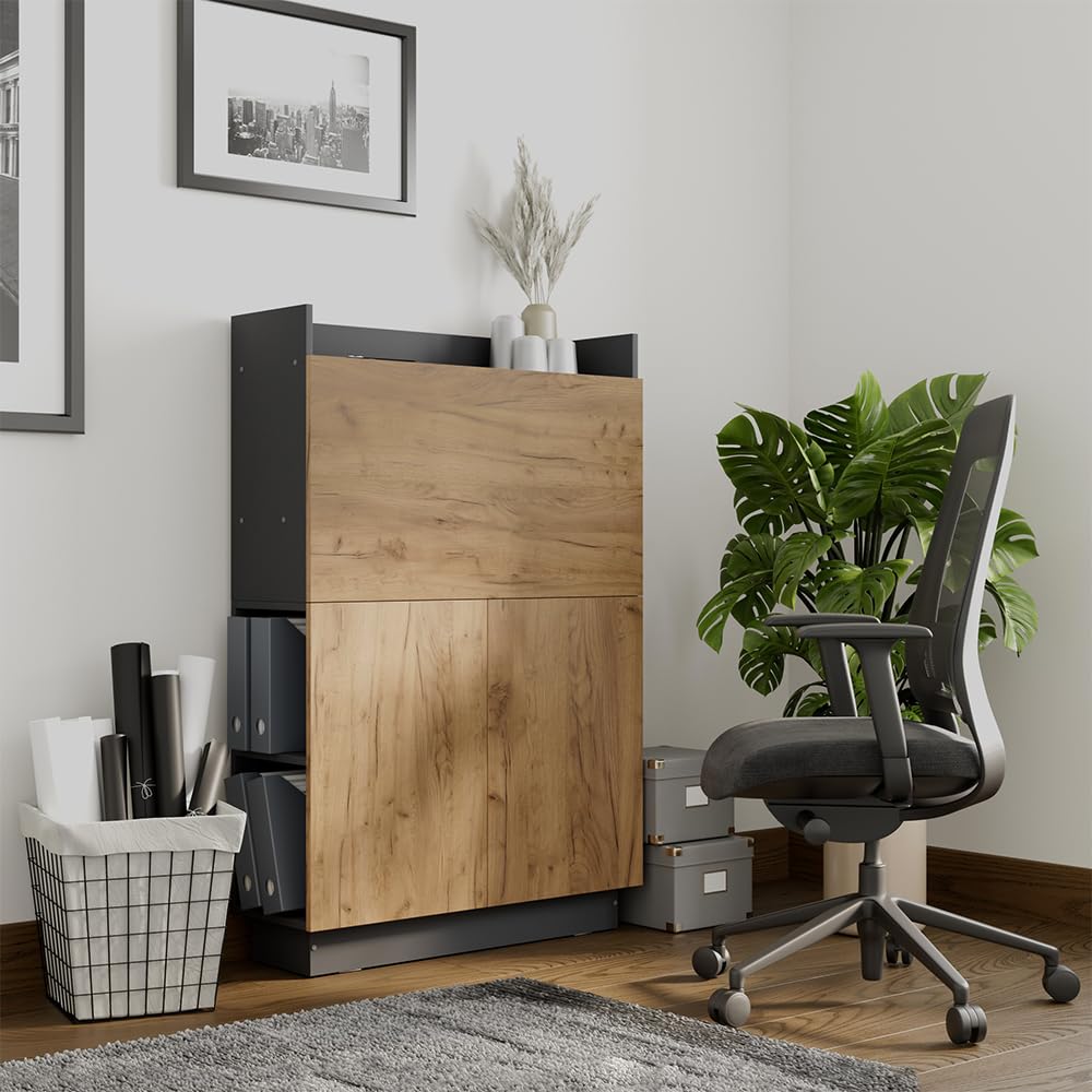 Vicco Escritorio Secretario Alena, Antracita/Roble Dorado, 85 x 28.6 cm, Apto para Montaje en Pared para un Uso Que Ahorra Espacio
