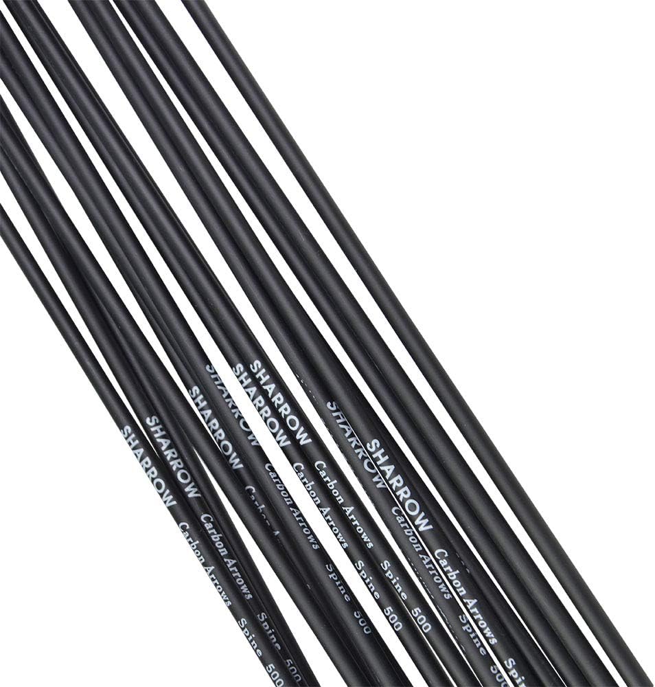 12 Pack Archery 31 Inch Hunting Carbon Arrow Spine 500 Targeting Practice Arrows Removable Tips Arrowhead with Arrow Quiver Tube for Hunting Recurve Compound Bow