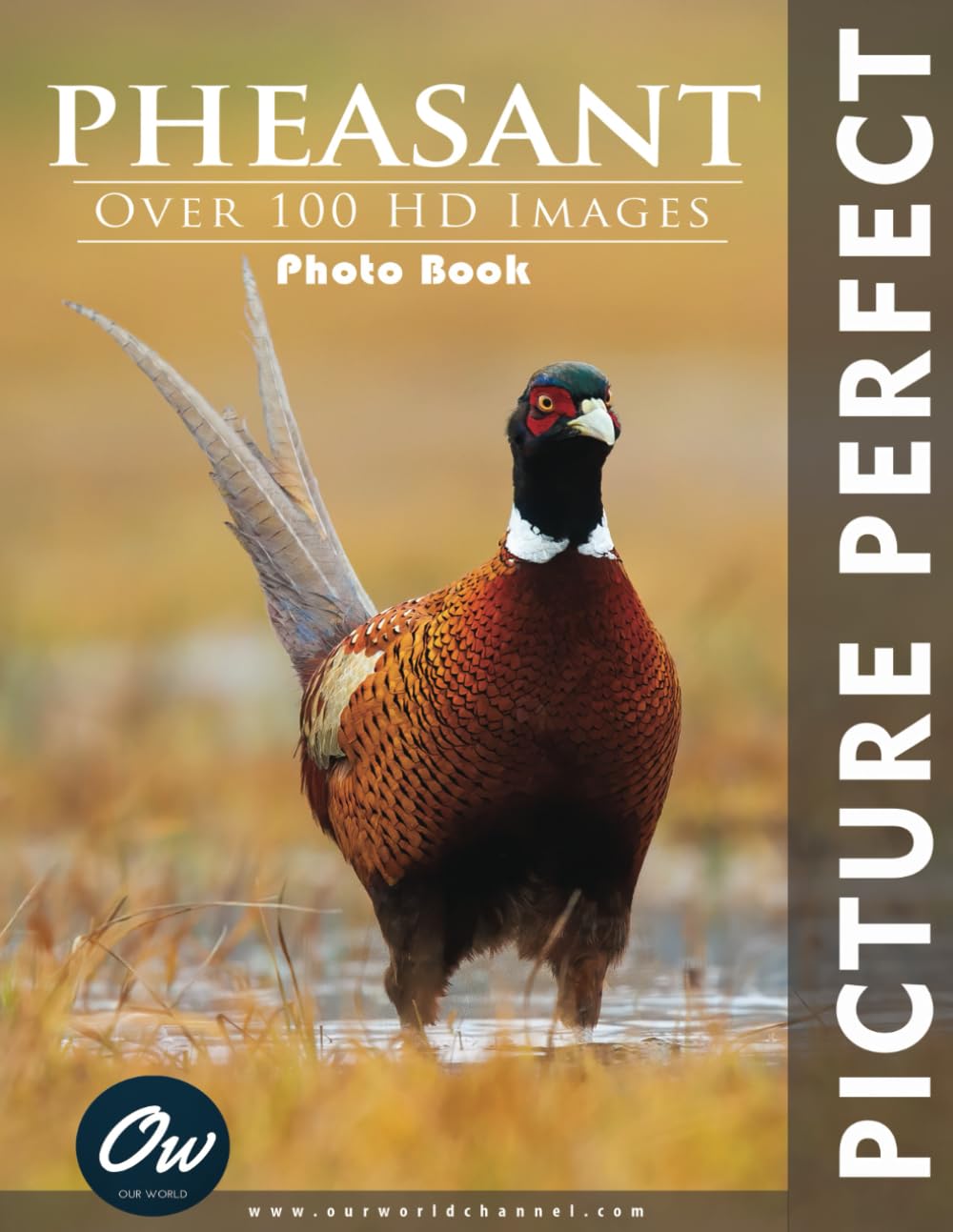 Pheasant: Picture Perfect Photo Book