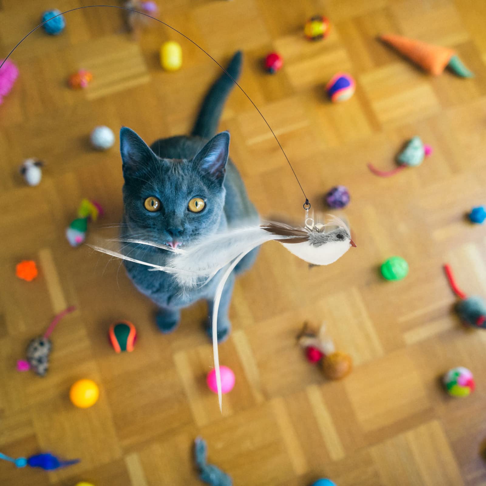 VANZACK 4sätze Interaktives Katzenspielzeug Ersatzfedern Für Katzenangel Leichte Und Tragbare Teaser Für Aktives Spielen Für Katzen Im Indoor-Bereich Fördert Gesundheit Und Bewegung