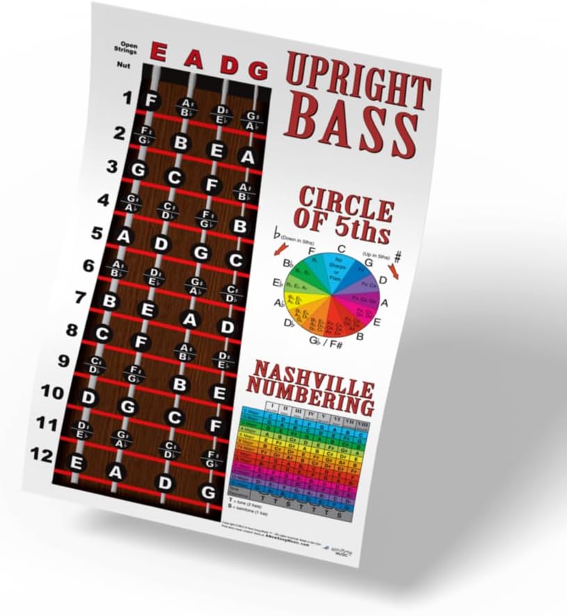 Upright Bass Fingerboard Instructional Poster 4 String Bass Notes Chart Nashville
