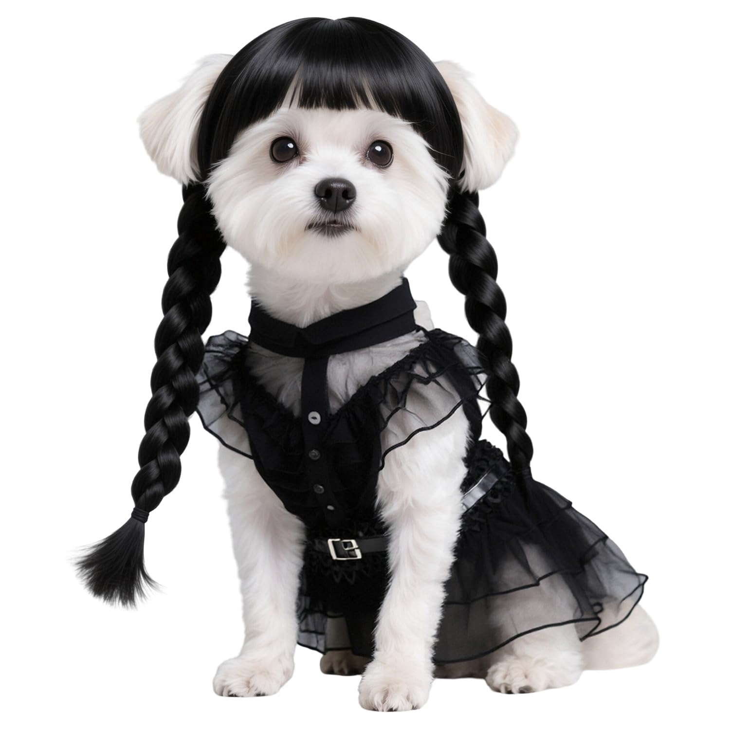 AN002S Lot de 3 vêtements pour chiens de petite taille avec perruque et ceinture – Vêtements pour chiens et chats – Costume pour cosplay, Halloween, fête d'anniversaire – Noir