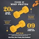 Bagrry's Whey Protein Muesli 750g | 20g+ Protein | Chocolate Flavour | Whole Oats, Whey Protein, Californian Almonds & Bran | Breakfast Cereal | High Protein & Fibre | Whey Muesli gallery image