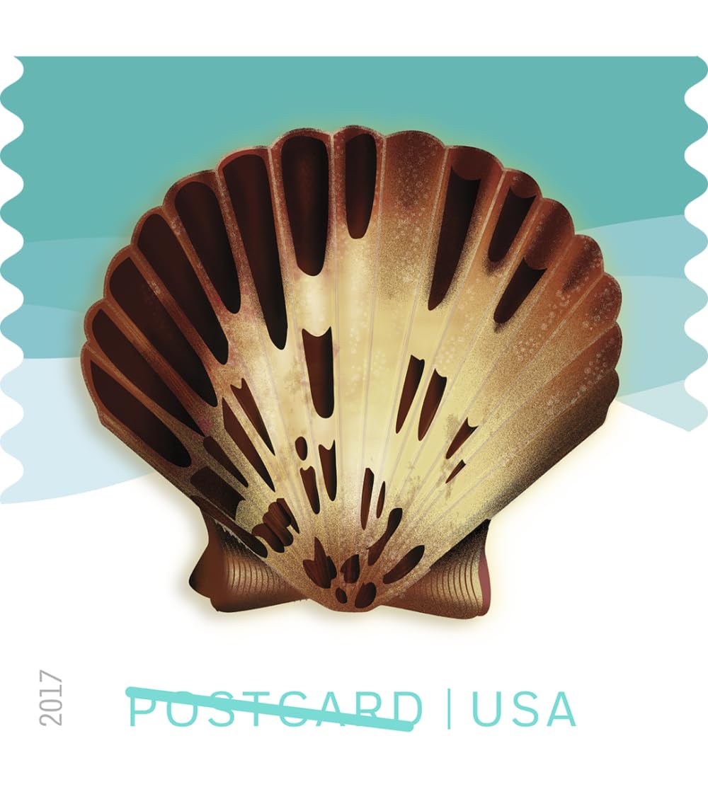 Seashells USPS Forever - Sellos de postal (20 unidades, 5 hojas de 20 sellos)