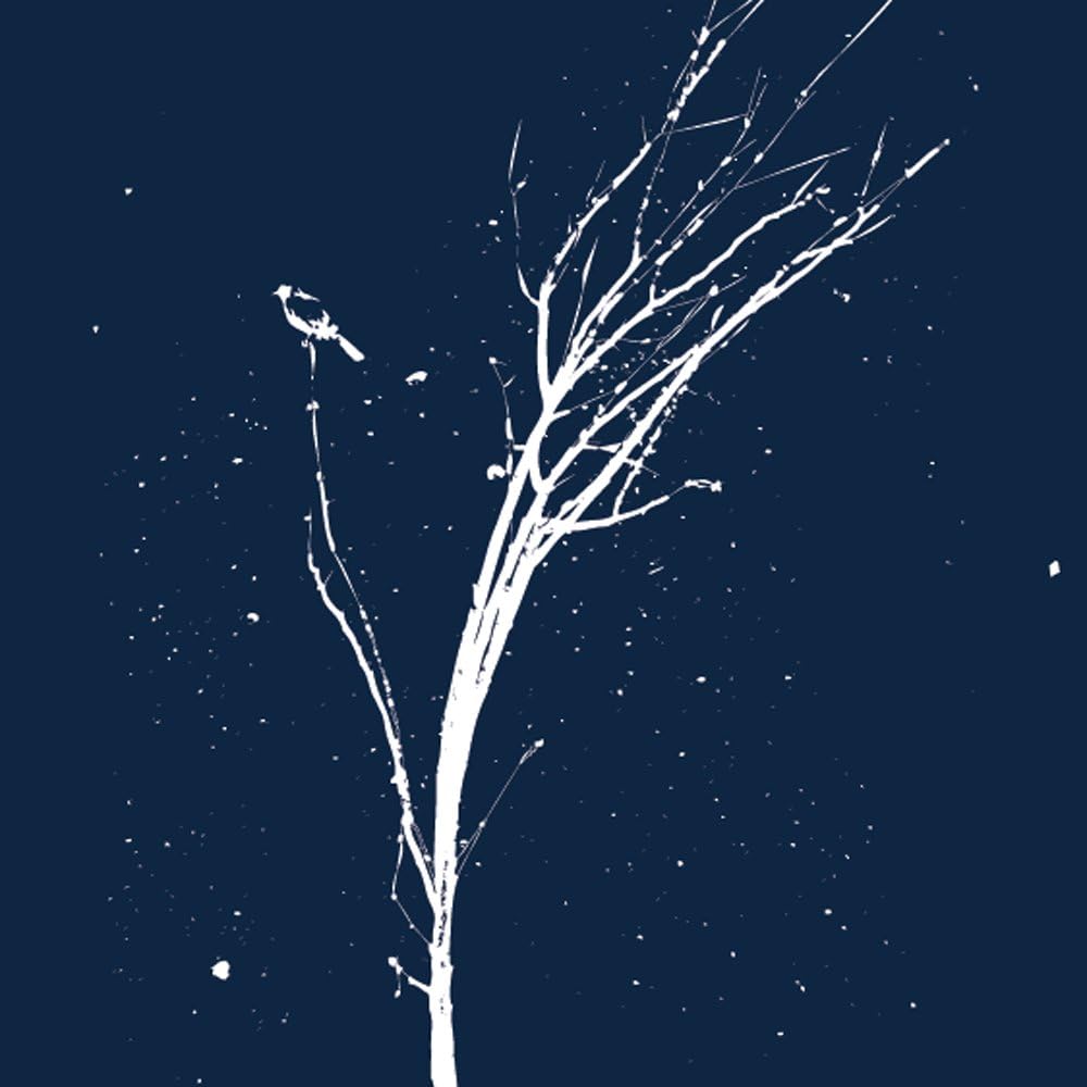 Christmas Holiday Cards - Blank Inside - Set of 24 - Bird on a White Winter Tree - Pearlescent White Envelopes