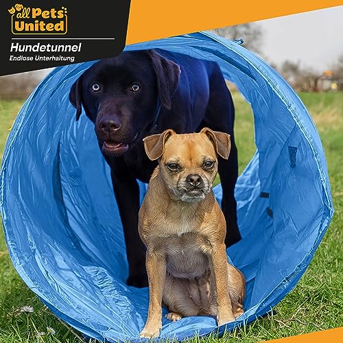 Hunde Agility Tunnel - Hundetunnel Spieltunnel Agilitytunnel Hundehöhle inkl Heringe und Transporttasche 300 x 50 cm