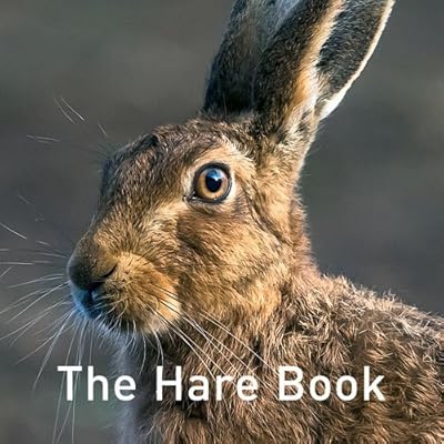 The Hare Book by Jane Russ