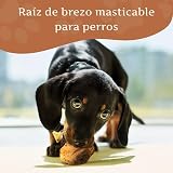 Ver la foto 2