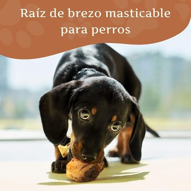 Foto 2 de 8 de Wildfang® Raíz Masticable de Brezo Pequeño