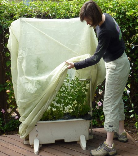 Bag XL Frost Protection Plant Cover-Green