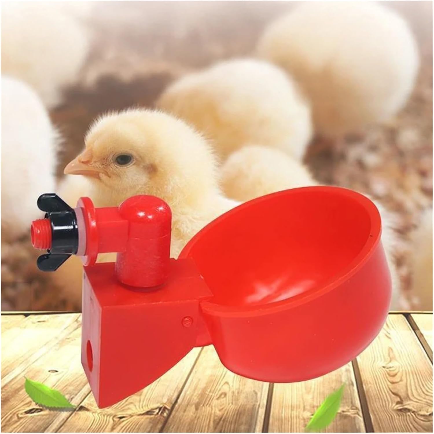Stable 6Pc Automatic Poultry Drinker Pigeon Chicken Waterer Water Bowl Feeder Portable Raising Supplies
