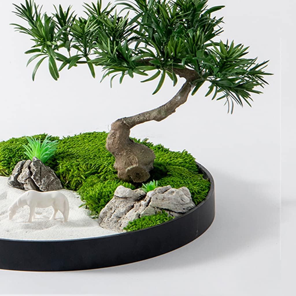 bonsai immergrün Green Home Bonsai Erde main image 1