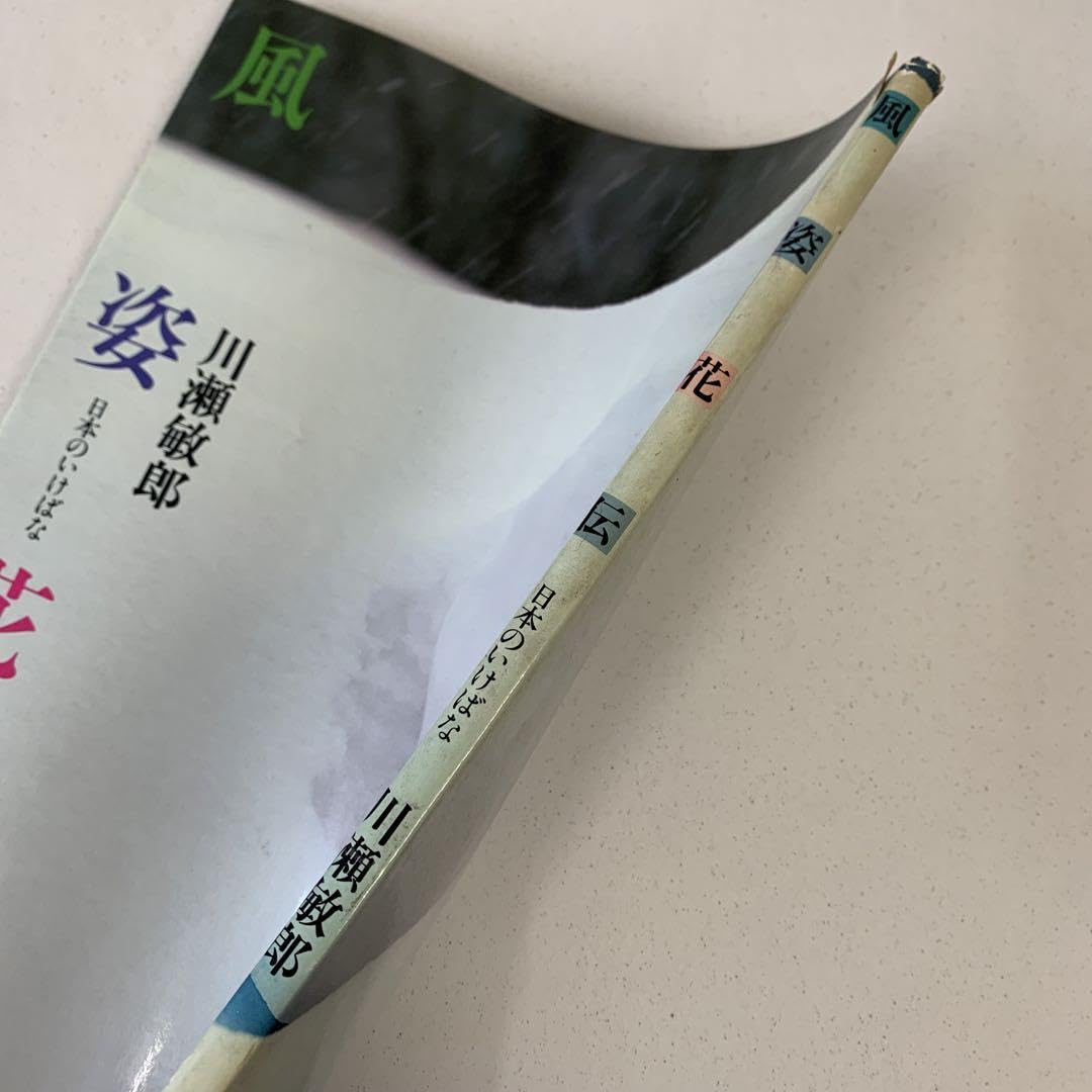 Amazon.co.jp: 風姿花伝日本のいけばな 川瀬敏郎 : おもちゃ