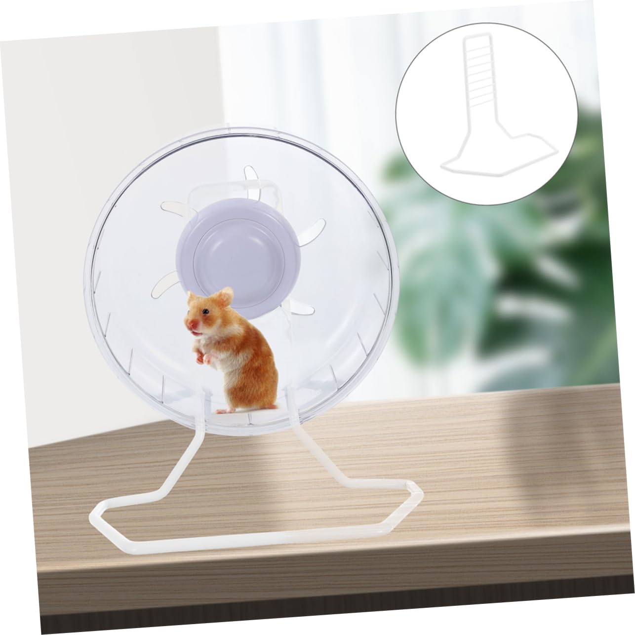 BESPORTBLE 6pièces Support De Roue De Course pour Hamster De Support Silencieux Et Stable pour Roue Petits Animaux Accessoire Pratique Et pour Hamsters