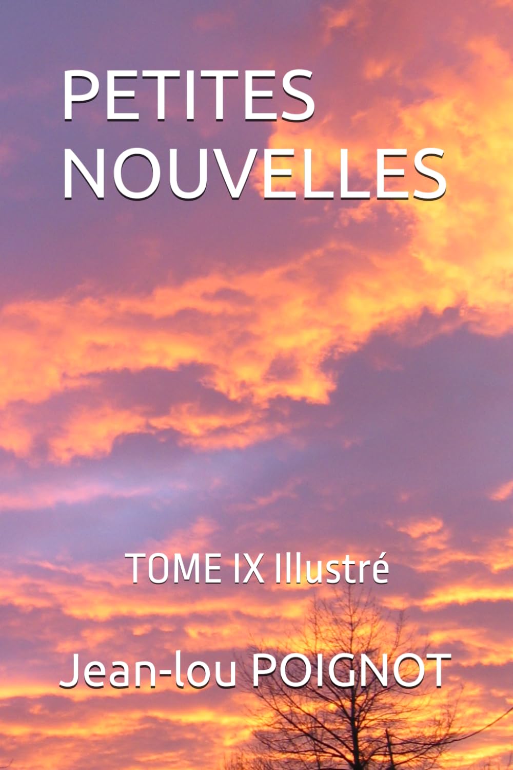 PETITES NOUVELLES: TOME IX Illustré