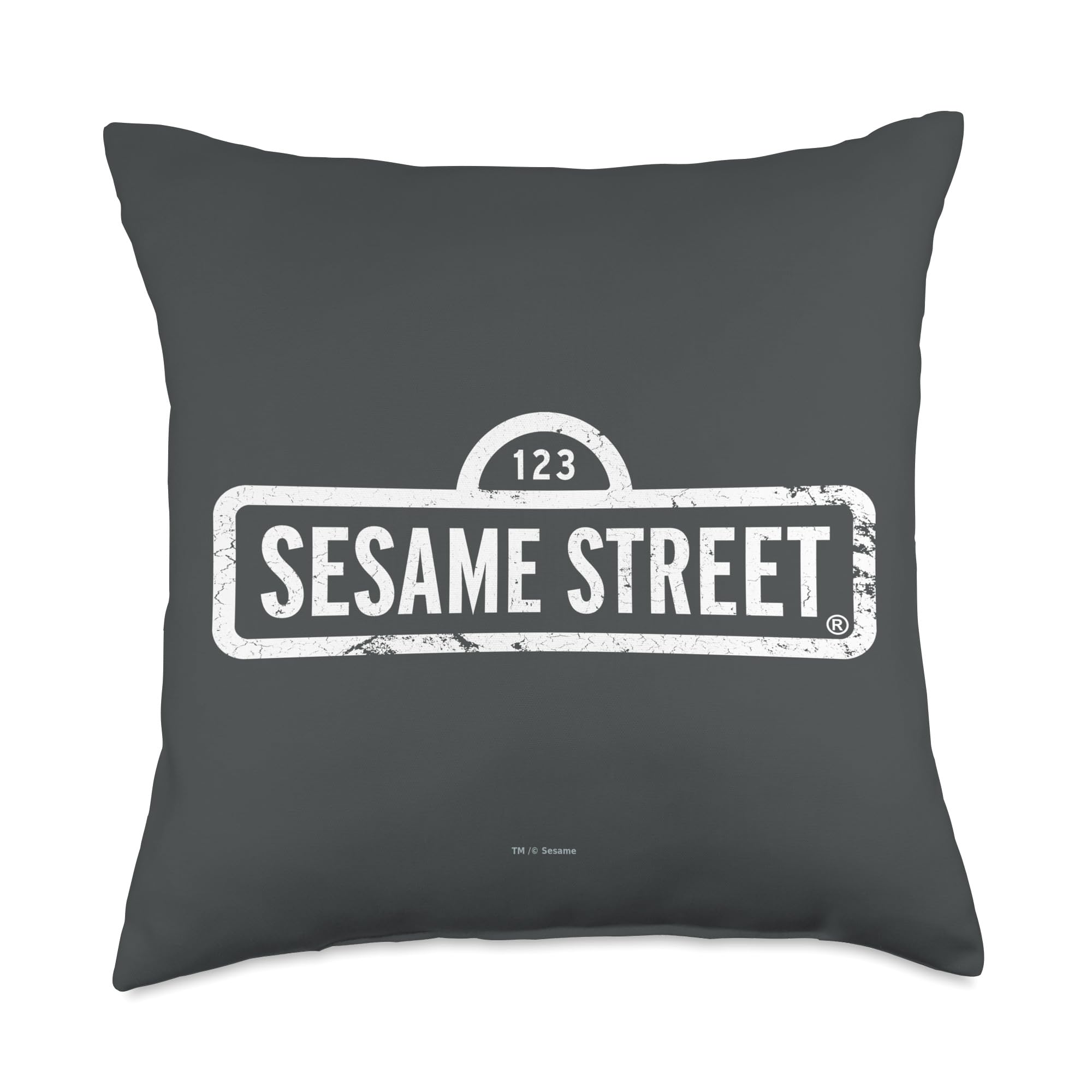 Coussin Sesame Street multicolore 18x18 idéal pour dynamiser le salon des enfants