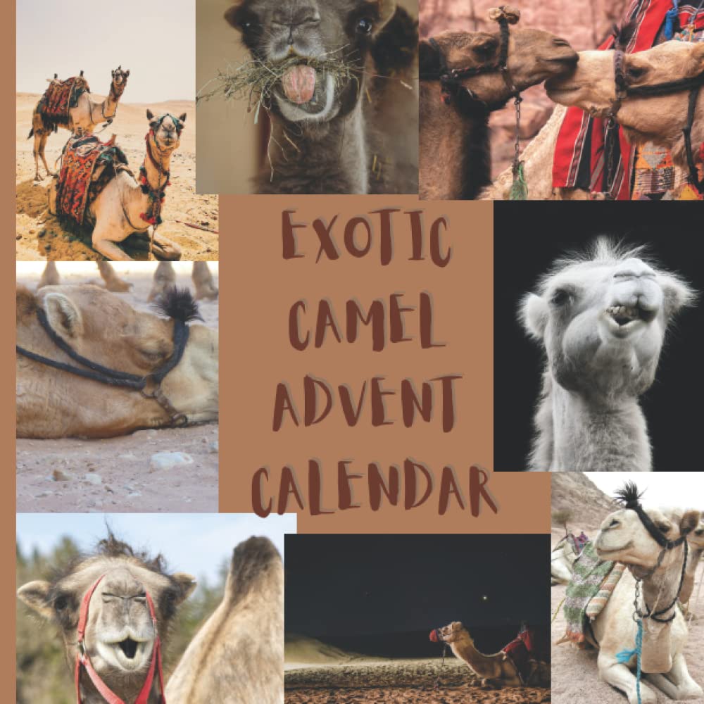EXOTIC CAMEL ADVENT CALENDAR: 24 Count Down Days Christmas Funny Magical Camels Pictures Advent Calendar Daily Animals Photos Til 25th December Calendar