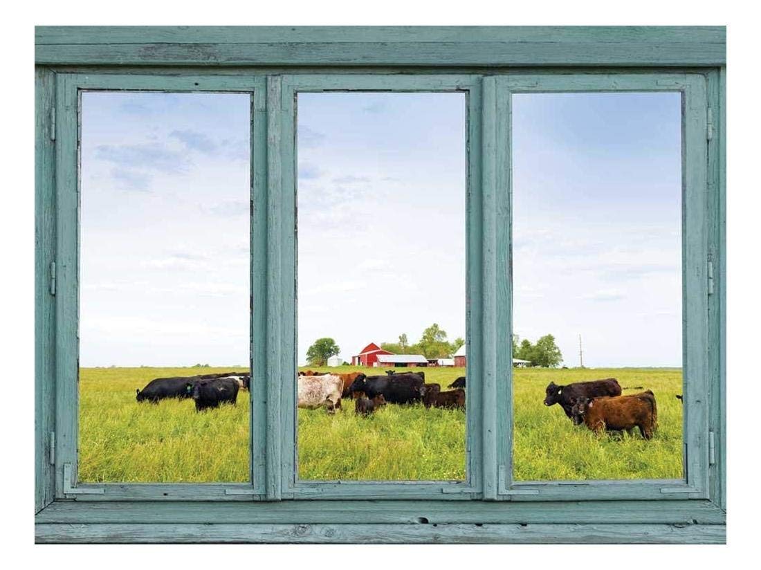 wall26 - Cows in a Field with a Red Barn in The Background, Wall Mural, Removable Sticker, Home Decor - 36x48 inches