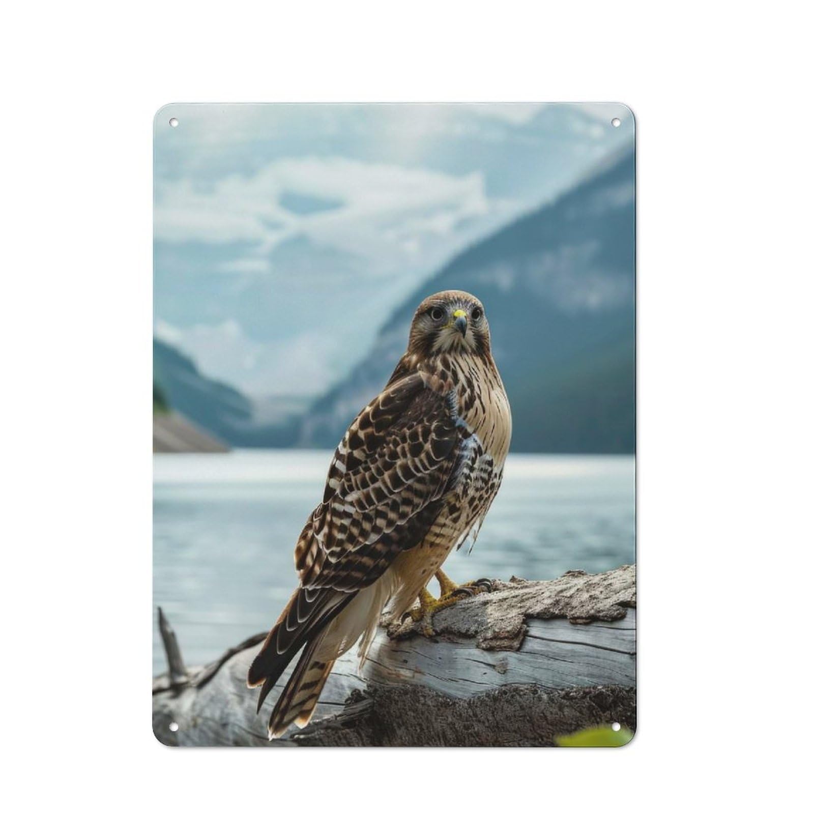 Junmoney Style Hawk Nea Lake Mountain Tin Wall Sign 40X30cm, Retro Novelty Wall Art For Bedroom, Kitchen, Office Or Living Room