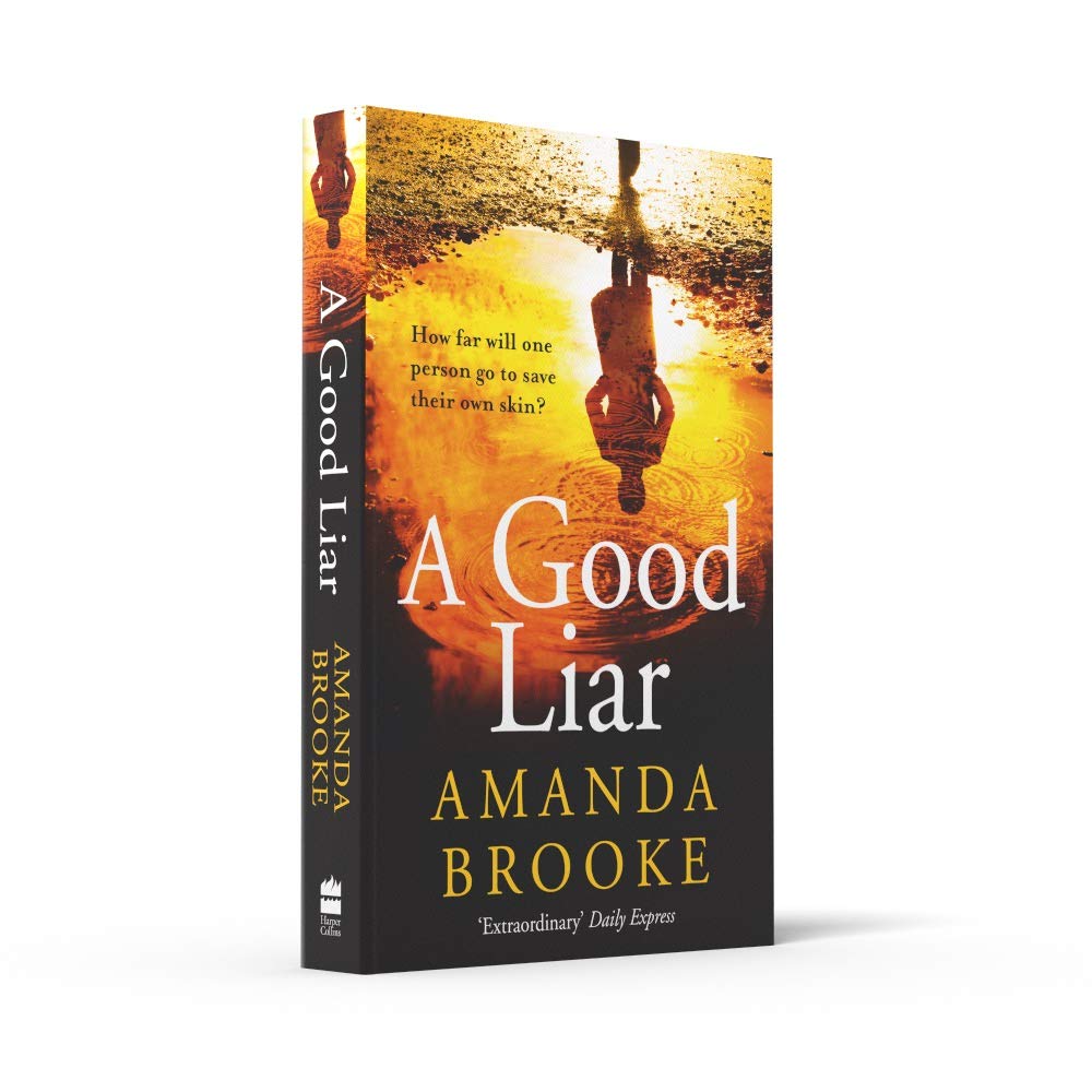 A Good Liar A Gripping Thriller Novel Perfect For Escaping