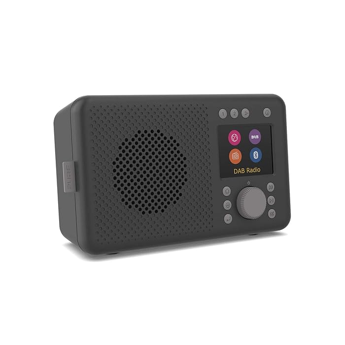 Buy Pure Elan Connect portable DAB+ radio with Bluetooth 5 (DAB/DAB+