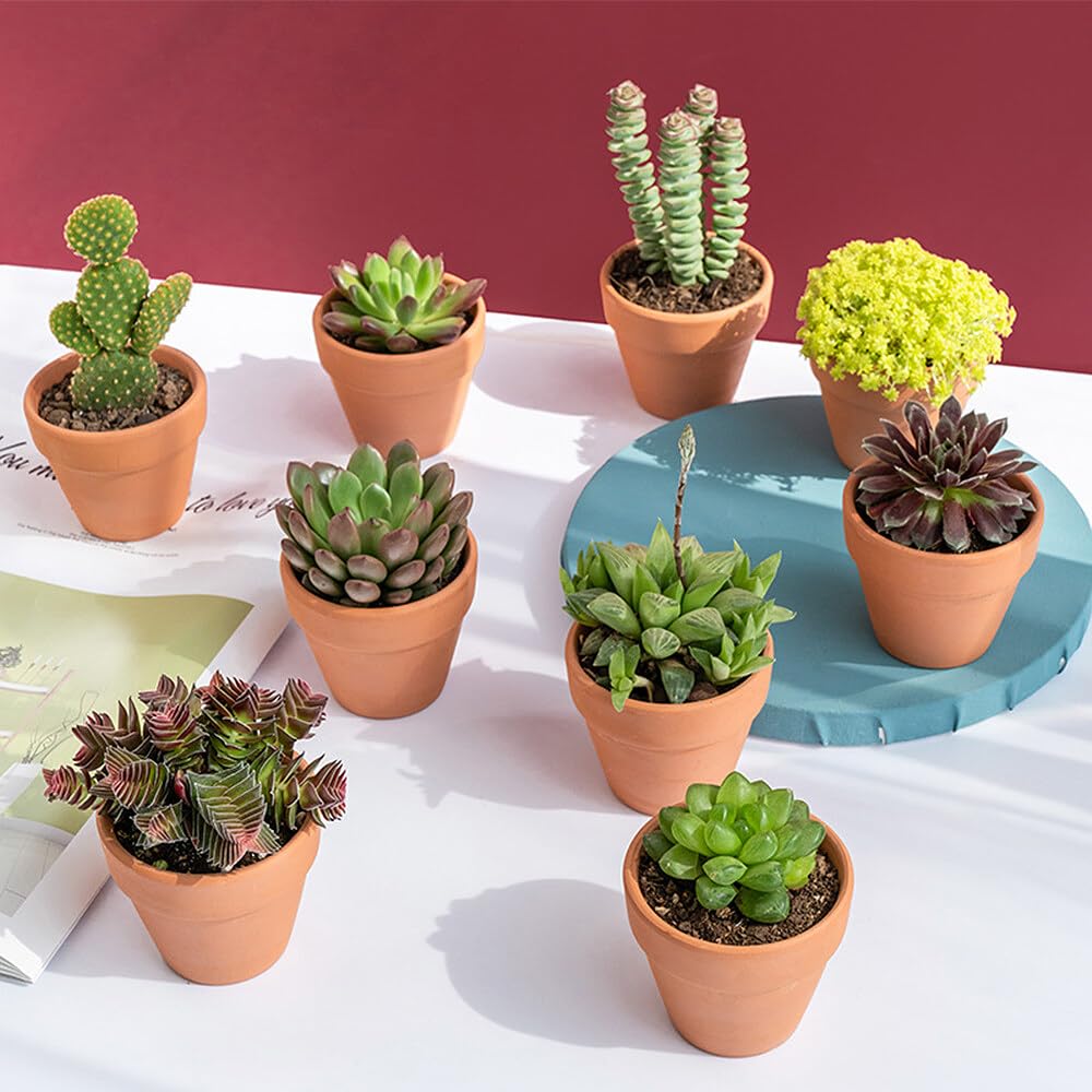 Maceta Terracota, 8 Piezas 8cm Mini Macetas, Macetas de Barro con Agujero de Drenaje, Macetas de Terracota para el Cultivo de Plantas, Decoración de Interior y al Aire Libre