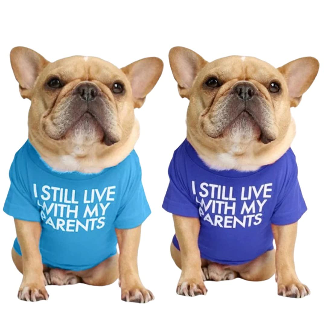 PETANGEL Combo of 2 Pet Dog Breathable Stretchy Round Neck T-Shirt | Small Dogs Cats Summer Cooling Soft Cotton Tshirt| French Bulldog Dog Shirt (Size: 2XL, Chest: 56cm, Length: 40cm) (B09VGMZWQD) Amazon Price History, Amazon Price Tracker