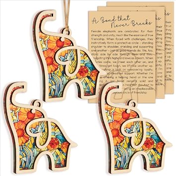Elephant Gift for Women, Elephant Christmas Ornament with Friendship Card | 2 Layered Acrylic & Wooden Suncatcher Ornament , 4.3"x4.3" Friendship Gifts for Women, Birthday Gift for Best Friends
