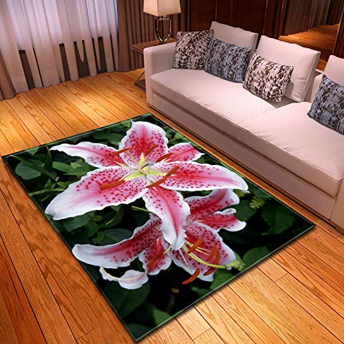 Tapis De Salon,Tapis Traditionnel Grand Rectangle, Durable Lavable Antidérapant Tapis De Plancher De Table Basse, Imprimé Rouge Fleur De Fleur Tapis Tapis Tapis pour Chambre À Coucher Hôtel Chev Cover