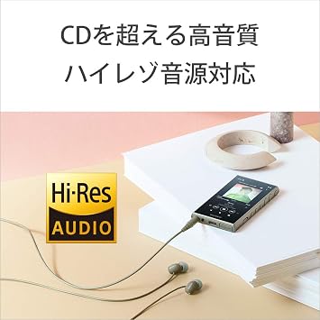 Sony Walkman 16GB A Series NW-A105HN: Hi-Res Compatible / MP3 Player / Bluetooth / Android Equipped / microSD Compatible / Touch Panel / Maximum 26 Hours Continuous Playback / 360 Reality Audio