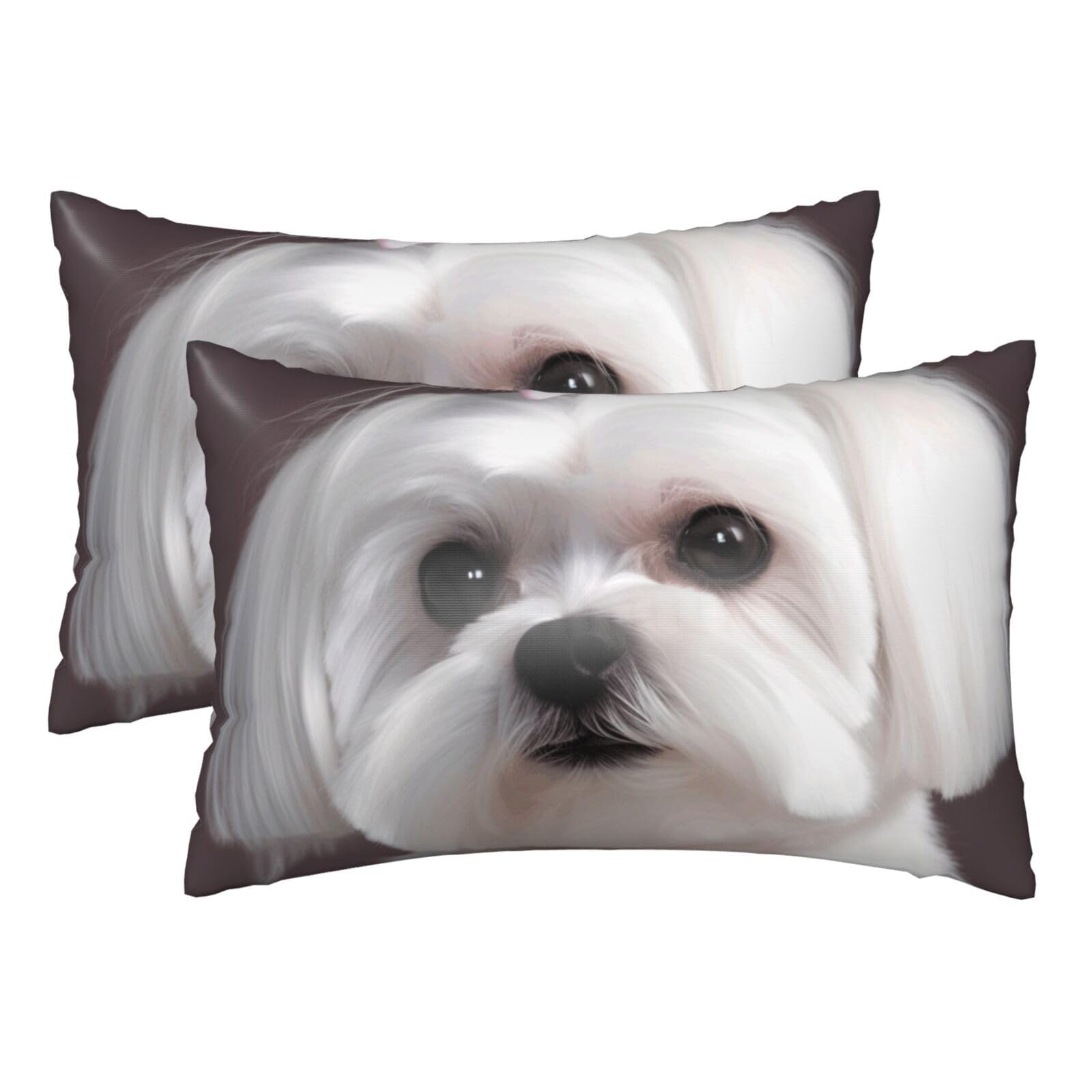 Silk Pillowcases Set of 2 Pillow Shams Breathable Soft Pillow Covers with Envelope Closure Lovely Maltese Dog Pillowcases 20x30 Inches Washed Pillow Cases for Hair and Skin