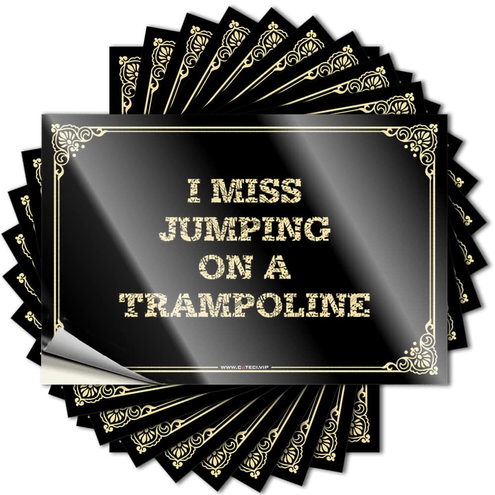 Plastic Saying, Outdoor Bar Decor Tumbler I Miss Jumping On A Trampoline | Funny Quote Teen Decals(6X9CM)