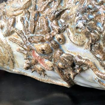 Amazon.co.jp: 人間国宝級蔵から凄い龍が舞う壺が出てきた壺花瓶花道具