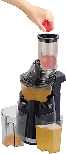 Exprimidor de prensa en frío, máquina extractora de jugo eléctrica de 250 W, exprimidor de masticación lenta con 2 tazas de 27.1 fl oz, fácil de
