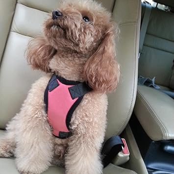 arythe Adjustable Pet Cat Dog Car Seat Belt Restraint Harness Leash Pink_XL