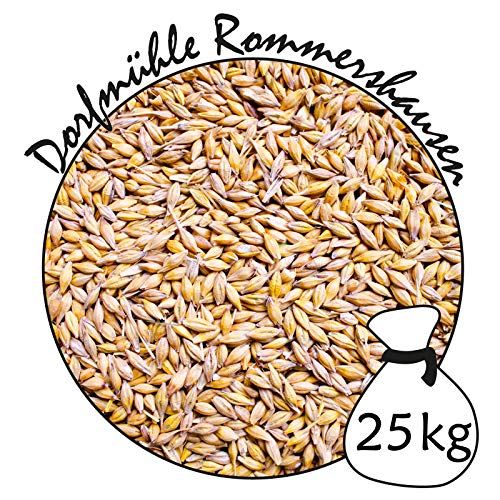 Gerste 25 kg für Hühnerfutter Geflügelfutter Futtergerste Vogelfutter Nager Geschält Körner Getreide Barley Sack Futter… – Bild 3