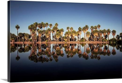 CANVAS ON DEMAND Reflection of Palm Trees On Papago Ponds in Papago Park, Phoenix, Arizona Canvas Wall Art Print by Circle Capture, Home Decor, United States Artwork,24" x16in