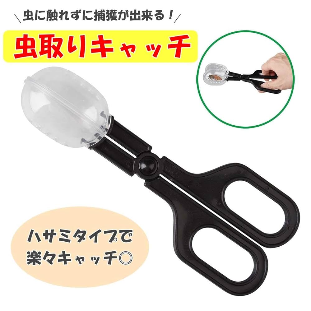 むじな団 カメ品 51Yig8w0jBL._UF350,350_QL50_.jpg