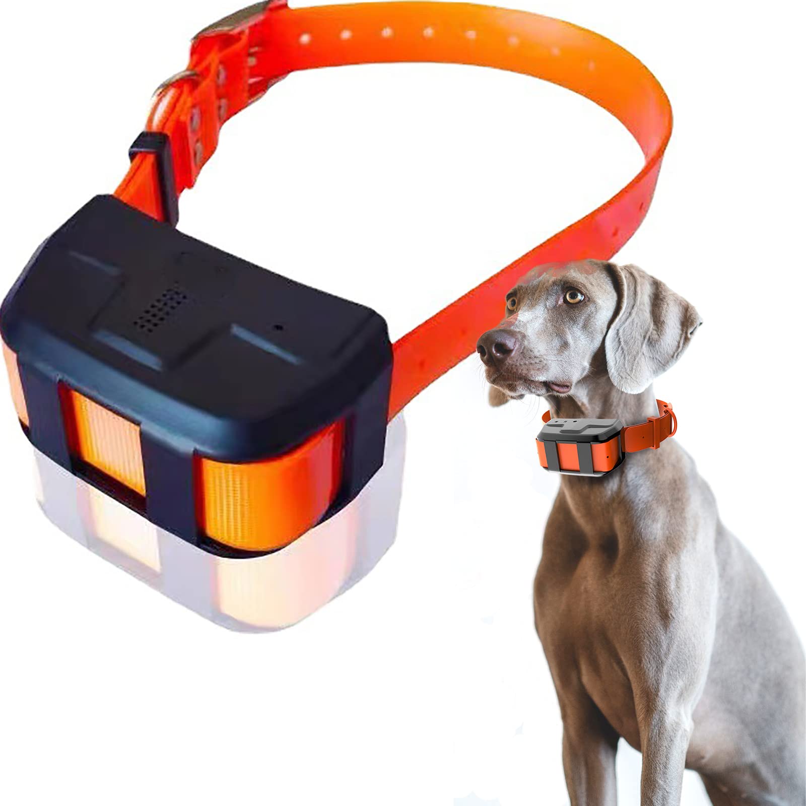Localizador De Mascotas, Collar Anti-mordeduras para Sabuesos Grandes, Consulta De Huellas Históricas, Cambio Automático Entre Modos De Posicionamiento De Montaña, Pradera Y Bosque