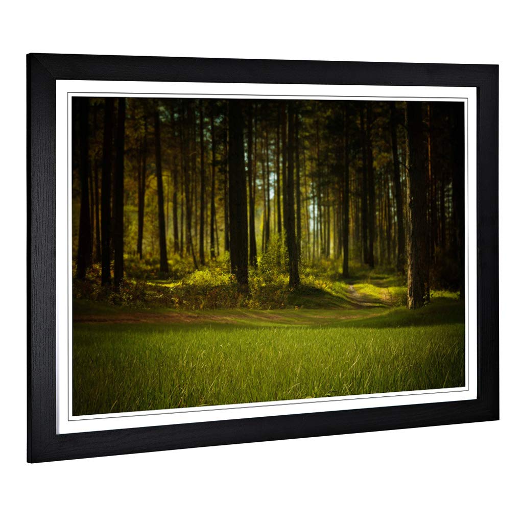 Big Box Art Framed Print of Landscape Forest Woodland Design | Wall Art Picture | Home Decor for Kitchen, Living, Dining Room, Bedroom, Hallway, Office, Black, A2 / 24.5x18 Inch / 62x45cm